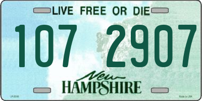 NH license plate 1072907