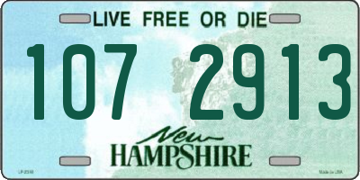 NH license plate 1072913