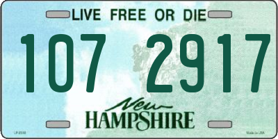 NH license plate 1072917
