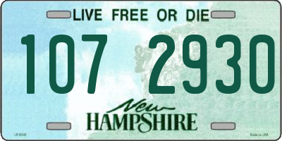 NH license plate 1072930