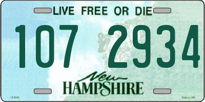 NH license plate 1072934