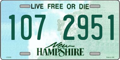NH license plate 1072951