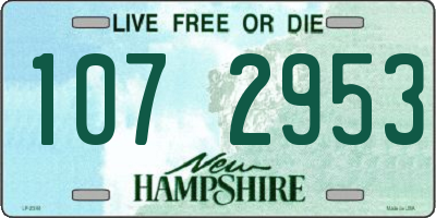 NH license plate 1072953