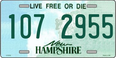NH license plate 1072955