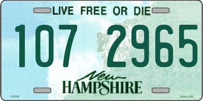 NH license plate 1072965