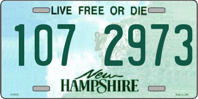 NH license plate 1072973
