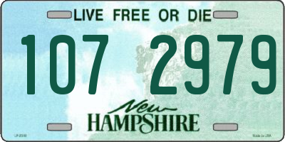 NH license plate 1072979
