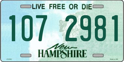 NH license plate 1072981