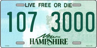 NH license plate 1073000