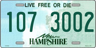 NH license plate 1073002