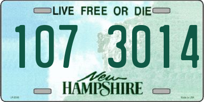 NH license plate 1073014