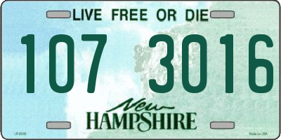 NH license plate 1073016