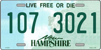 NH license plate 1073021