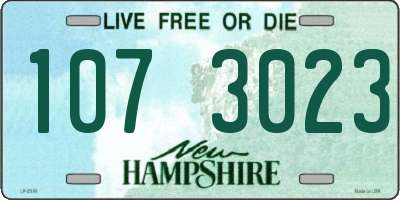 NH license plate 1073023