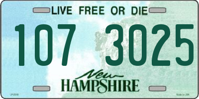 NH license plate 1073025
