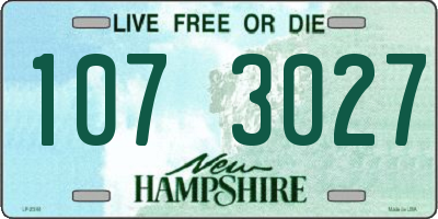 NH license plate 1073027