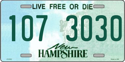 NH license plate 1073030