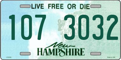 NH license plate 1073032