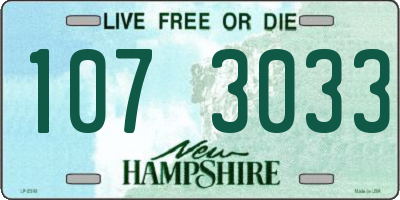 NH license plate 1073033