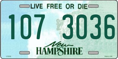 NH license plate 1073036