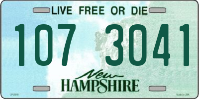 NH license plate 1073041