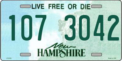 NH license plate 1073042