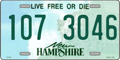 NH license plate 1073046