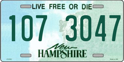 NH license plate 1073047