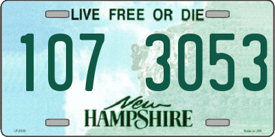 NH license plate 1073053