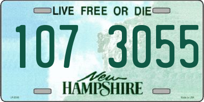 NH license plate 1073055
