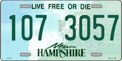NH license plate 1073057
