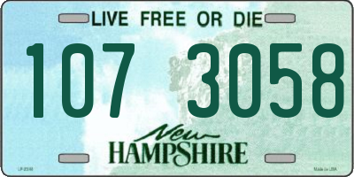 NH license plate 1073058