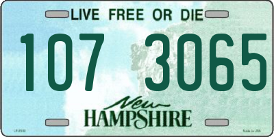 NH license plate 1073065