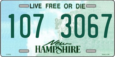 NH license plate 1073067