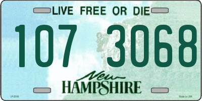 NH license plate 1073068