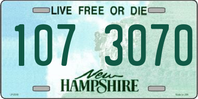 NH license plate 1073070
