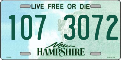 NH license plate 1073072
