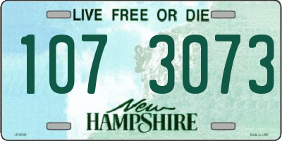 NH license plate 1073073