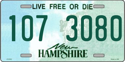 NH license plate 1073080