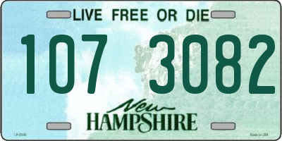 NH license plate 1073082