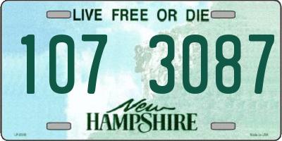 NH license plate 1073087