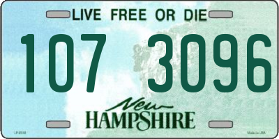 NH license plate 1073096