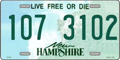 NH license plate 1073102