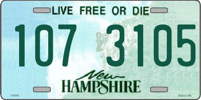 NH license plate 1073105