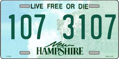 NH license plate 1073107