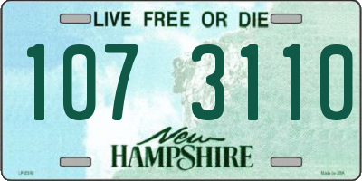 NH license plate 1073110