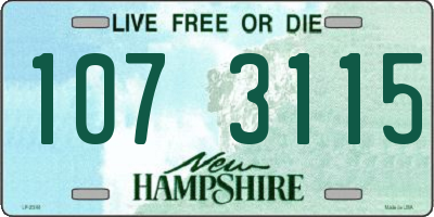 NH license plate 1073115