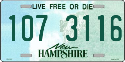 NH license plate 1073116