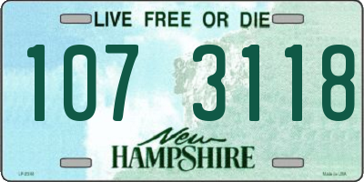 NH license plate 1073118