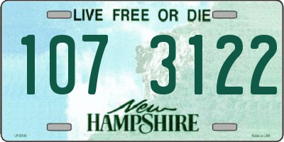 NH license plate 1073122